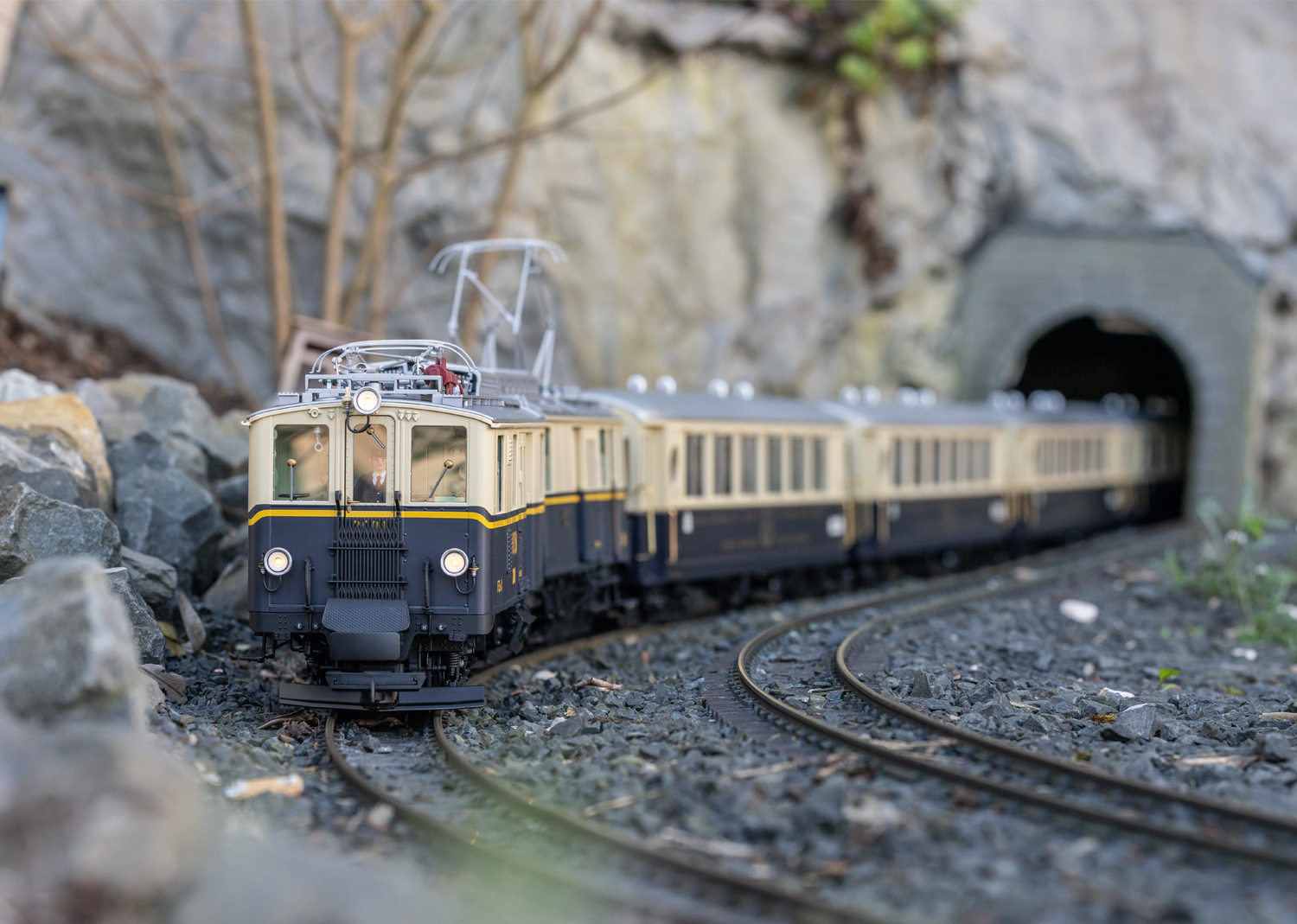Class FZe 6/6 Powered Rail Car Era VI | LGB Websites