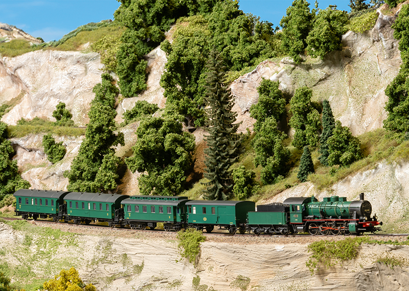 Class 81 Steam Locomotive | Maerklin US
