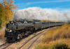 US stoomlocomotief type 3900 'Challenger'
